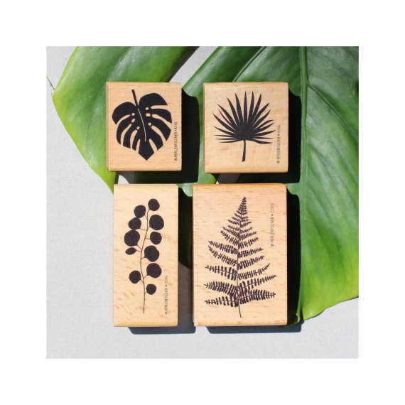 Stempel Eucalyptus