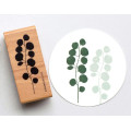 Stempel Eucalyptus