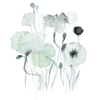 Kort med konvolutt - Valmueeng Dusty Green
